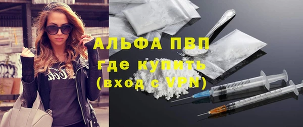 индика Новозыбков