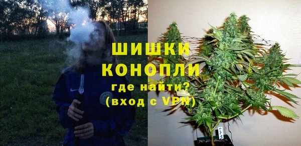 хмурый Шали