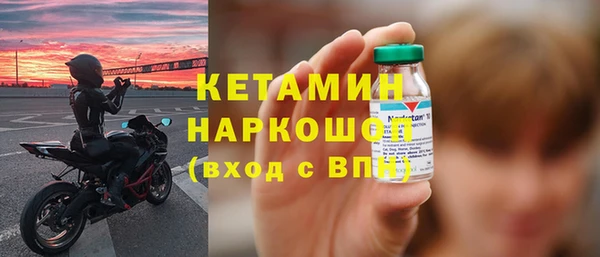 индика Новозыбков