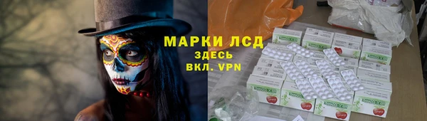 индика Новозыбков