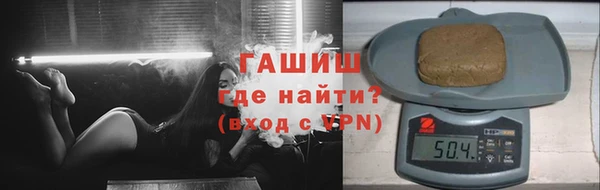 индика Новозыбков