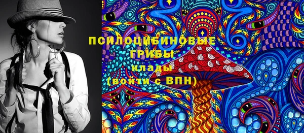 ГАЛЛЮЦИНОГЕННЫЕ ГРИБЫ Ужур