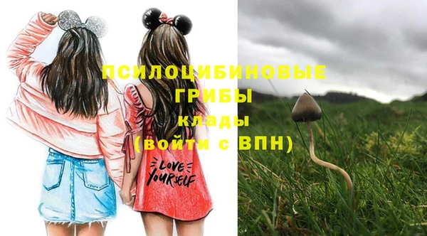кокаин премиум Новодвинск