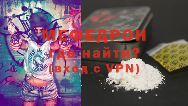 индика Новозыбков