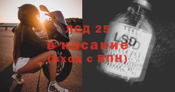 индика Новозыбков