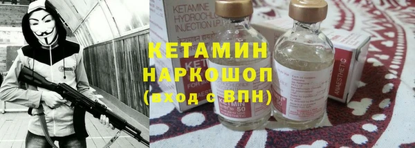 индика Новозыбков