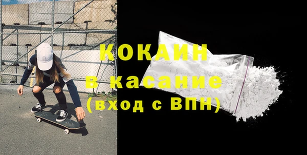 индика Новозыбков