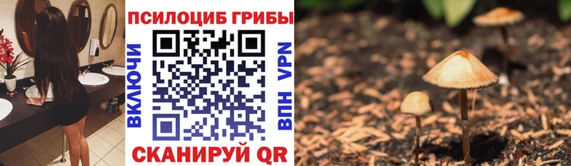 Галлюциногенные грибы Cubensis  Шелехов 
